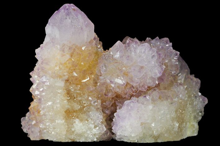 Cactus Quartz (Amethyst) Crystal Cluster - South Africa #132488